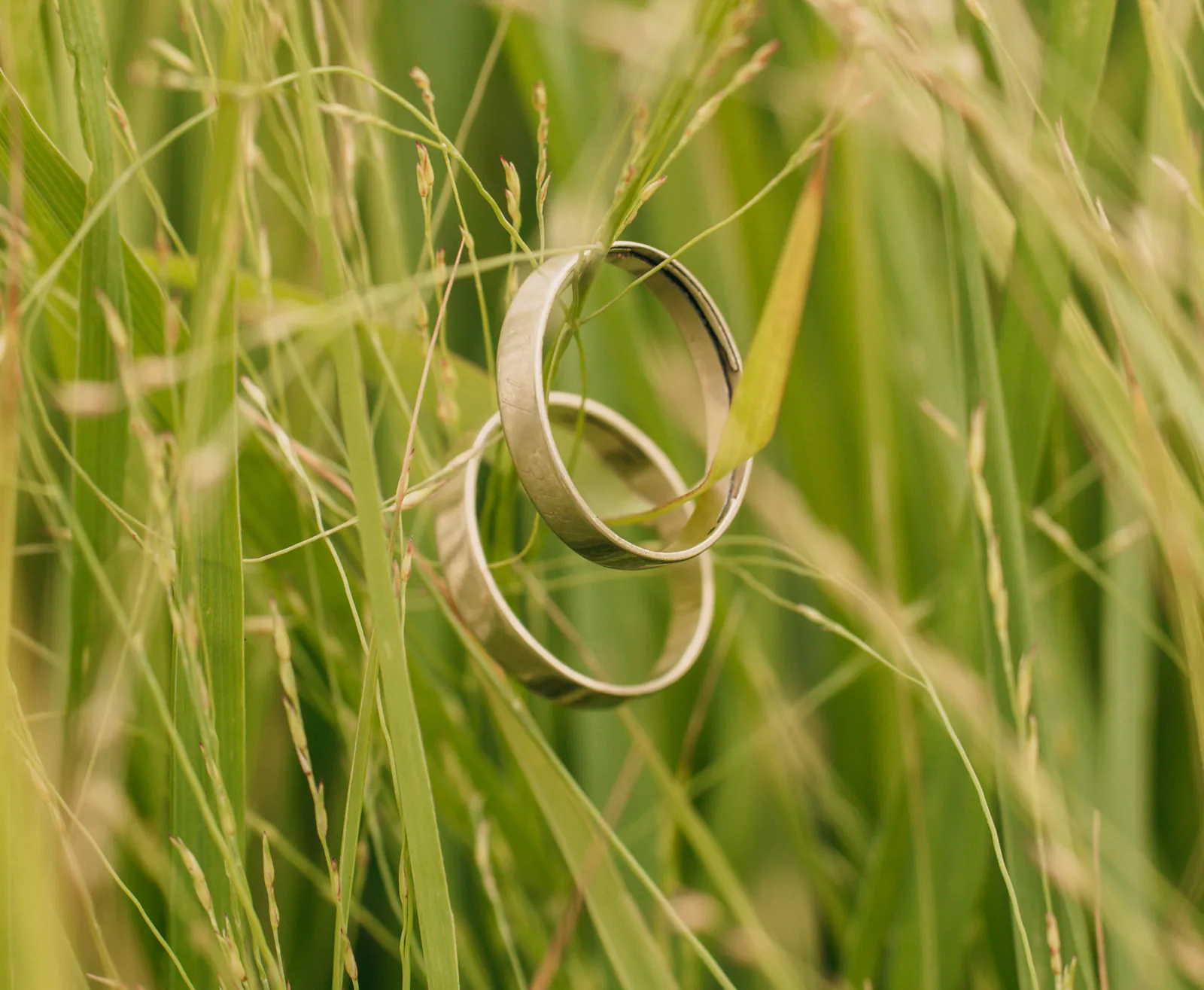 Eheringe im hohen Gras – Hochzeit im Pitzlloch, Chiemgau